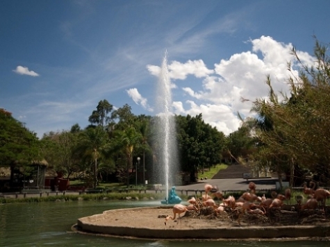 ZOOLOGICO DE GUADALAJARA zoologico de guadalajara: