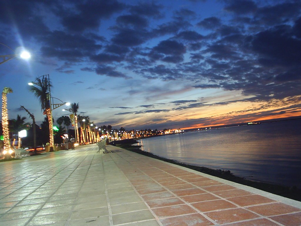 Malecón De La Paz,BCS. Un Paseo Marítimo Inolvidable. – Gran Turismo México